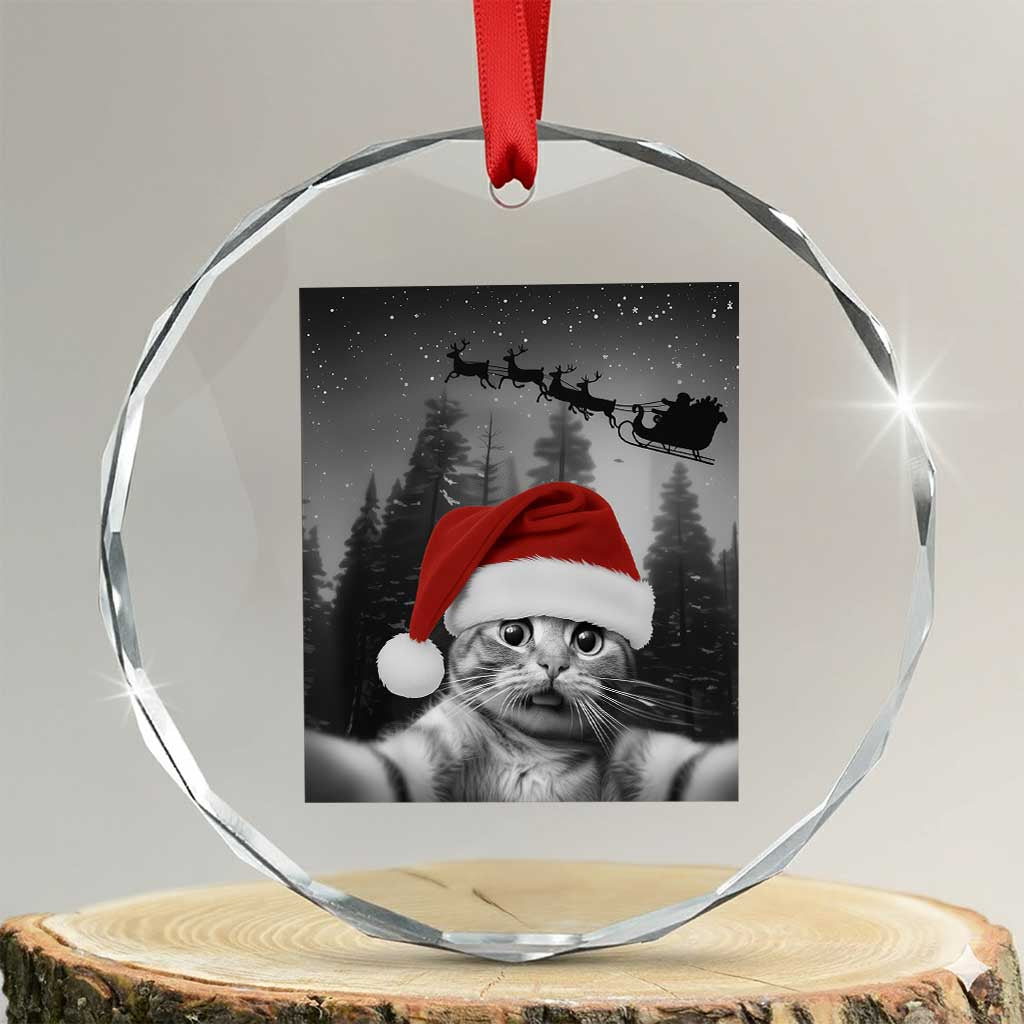Funny Cat Selfie With Santas Sleigh Christmas Crystal Glass Ornament - Wonder Print Shop