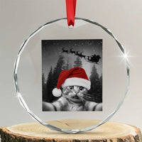 Funny Cat Selfie With Santas Sleigh Christmas Crystal Glass Ornament - Wonder Print Shop