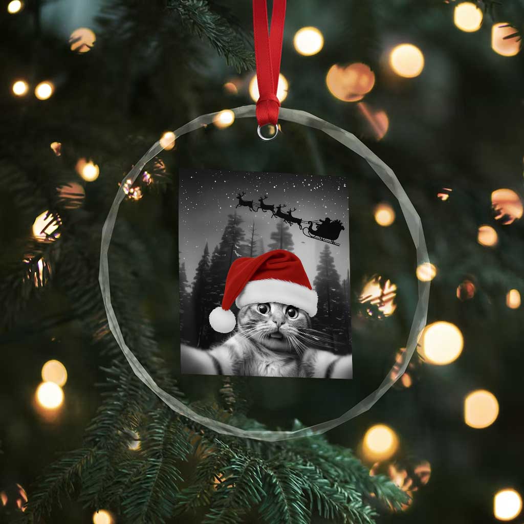 Funny Cat Selfie With Santas Sleigh Christmas Crystal Glass Ornament - Wonder Print Shop
