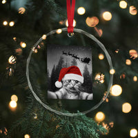 Funny Cat Selfie With Santas Sleigh Christmas Crystal Glass Ornament - Wonder Print Shop