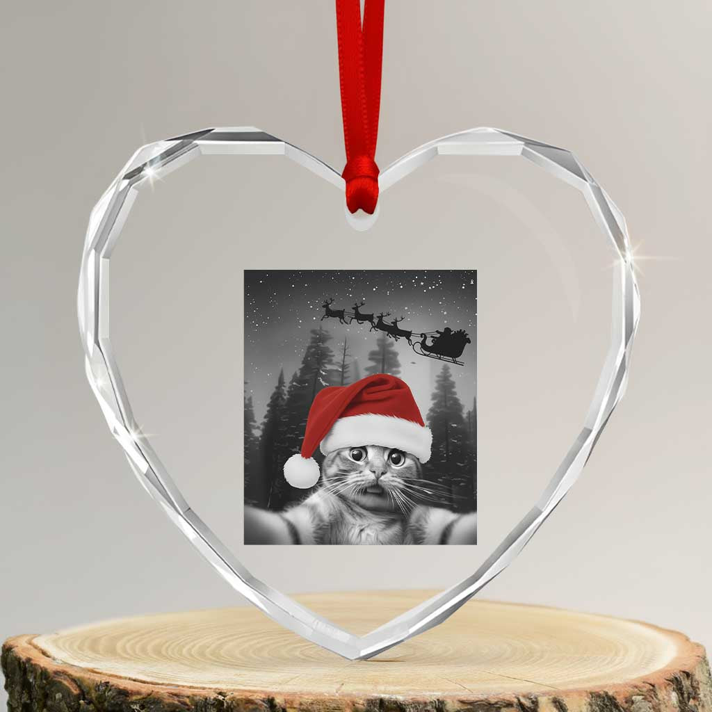 Funny Cat Selfie With Santas Sleigh Christmas Heart Crystal Glass Ornament - Wonder Print Shop
