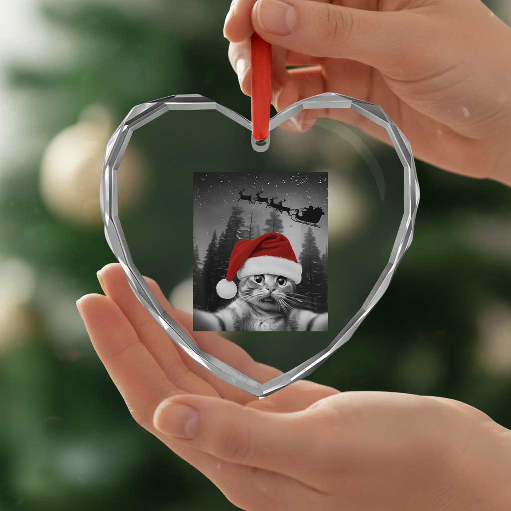Funny Cat Selfie With Santas Sleigh Christmas Heart Crystal Glass Ornament - Wonder Print Shop
