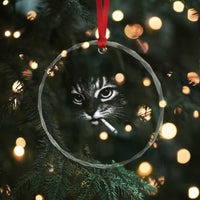 Funny Cat Smoking Cigarette Meme Crystal Glass Ornament Cat Face Y2K Graphic