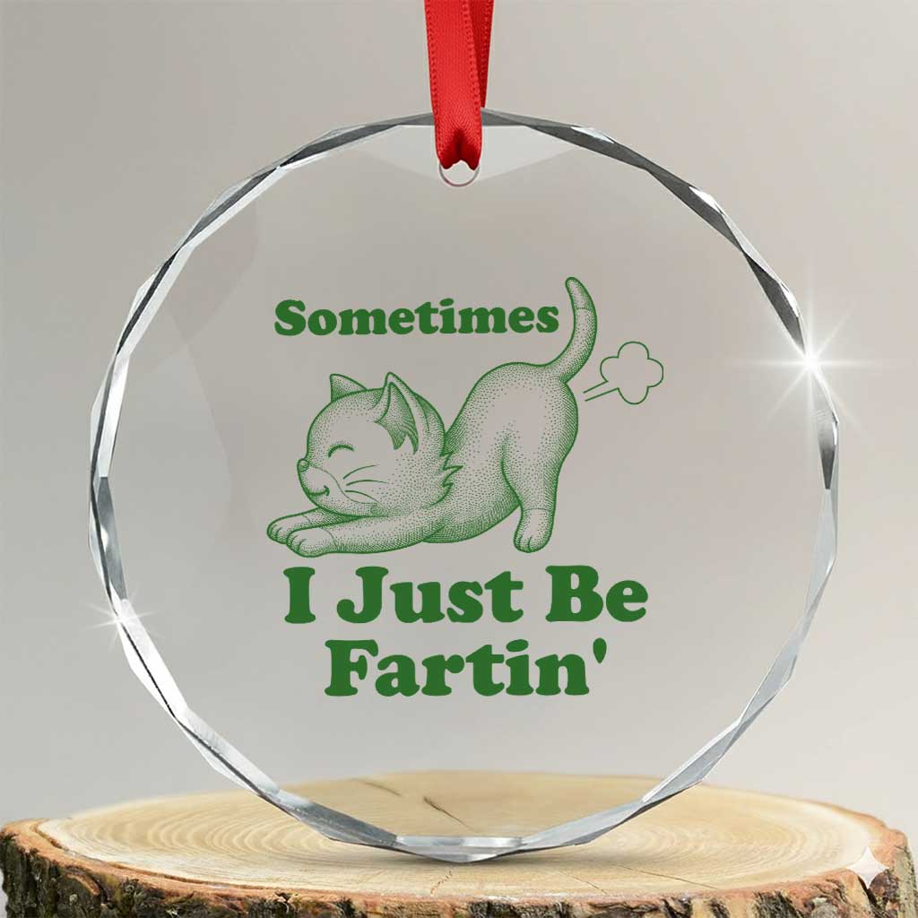 Funny Cat Sometimes I Just Be Fartin Crystal Glass Ornament Pet Lover