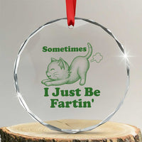 Funny Cat Sometimes I Just Be Fartin Crystal Glass Ornament Pet Lover