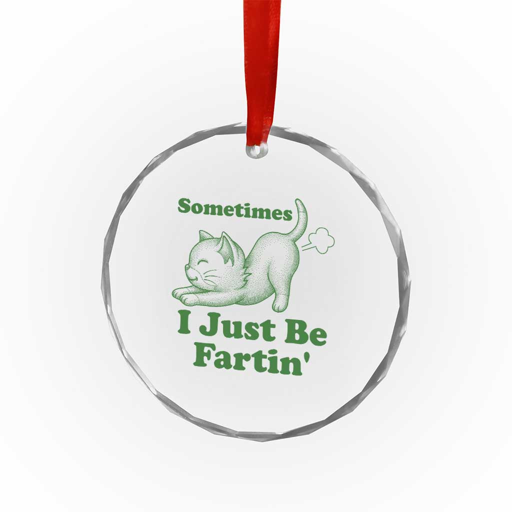 Funny Cat Sometimes I Just Be Fartin Crystal Glass Ornament Pet Lover