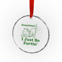 Funny Cat Sometimes I Just Be Fartin Crystal Glass Ornament Pet Lover