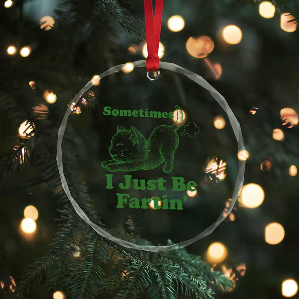 Funny Cat Sometimes I Just Be Fartin Crystal Glass Ornament Pet Lover