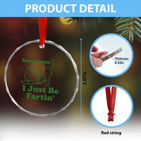 Funny Cat Sometimes I Just Be Fartin Crystal Glass Ornament Pet Lover