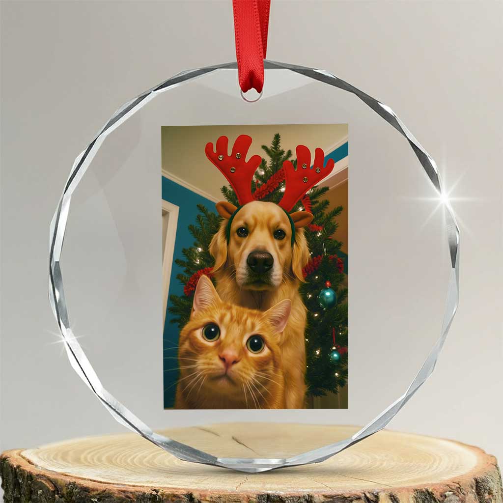 Funny Cat With Dog Selfie Christmas Crystal Glass Ornament Pet Lover Xmas Gift - Wonder Print Shop