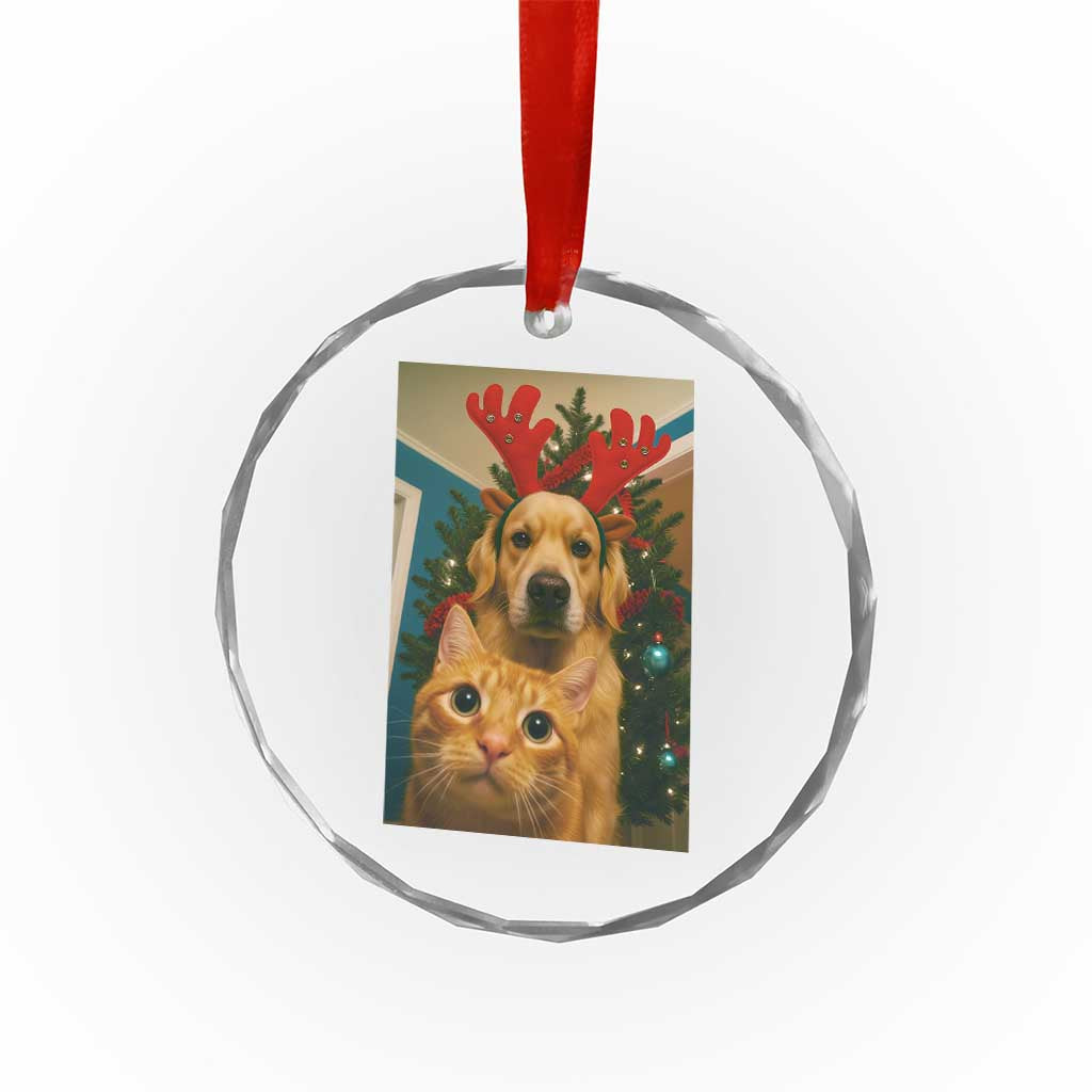Funny Cat With Dog Selfie Christmas Crystal Glass Ornament Pet Lover Xmas Gift - Wonder Print Shop