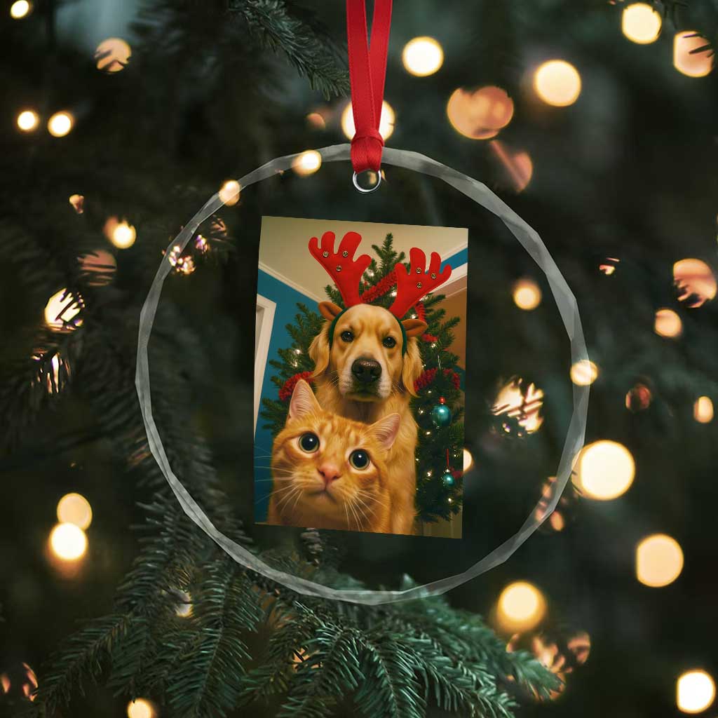 Funny Cat With Dog Selfie Christmas Crystal Glass Ornament Pet Lover Xmas Gift - Wonder Print Shop