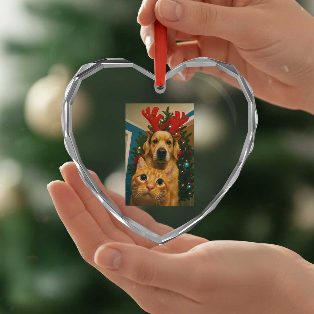 Funny Cat With Dog Selfie Christmas Heart Crystal Glass Ornament Pet Lover Xmas Gift - Wonder Print Shop
