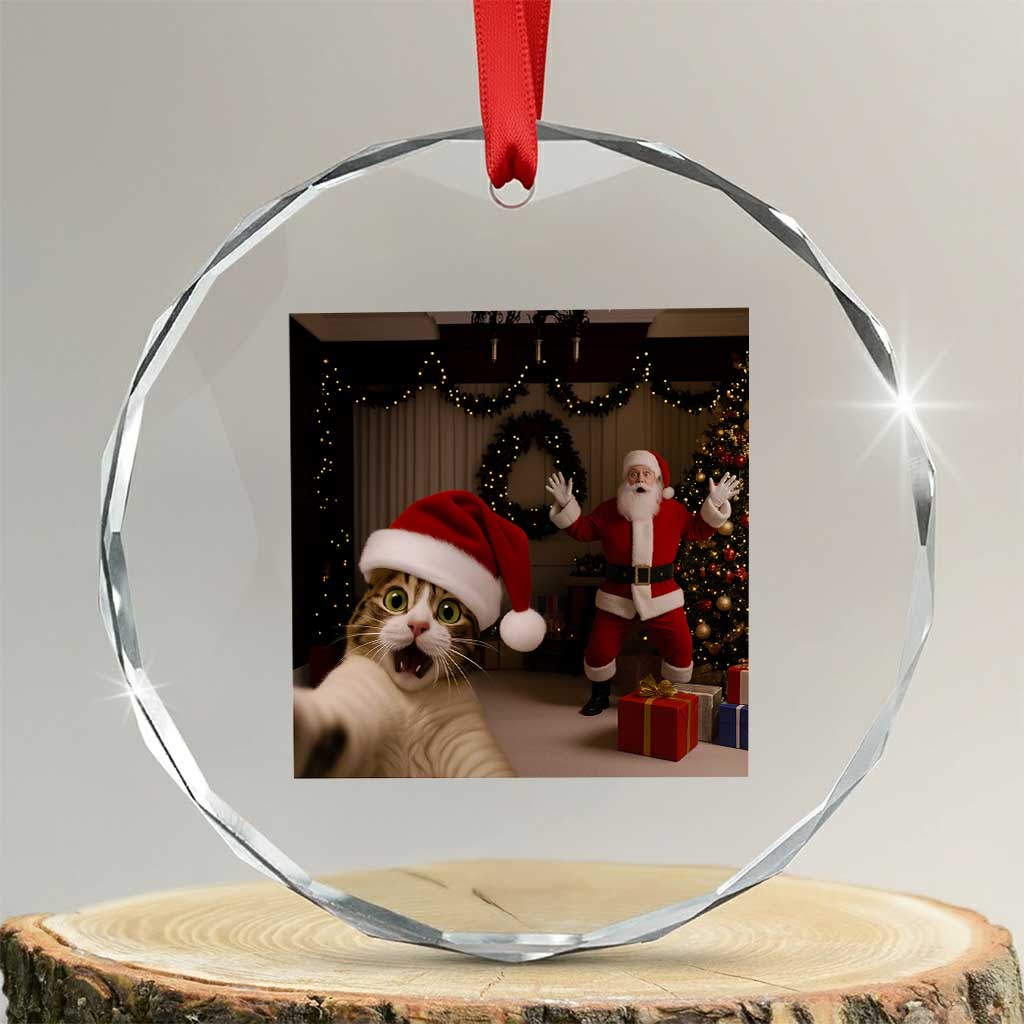 Funny Cat With Santa Selfie Christmas Crystal Glass Ornament - Wonder Print Shop