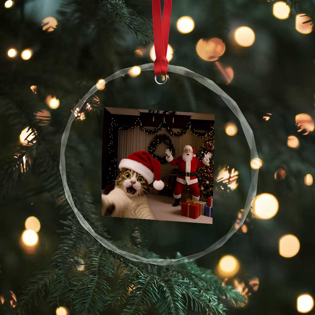 Funny Cat With Santa Selfie Christmas Crystal Glass Ornament - Wonder Print Shop