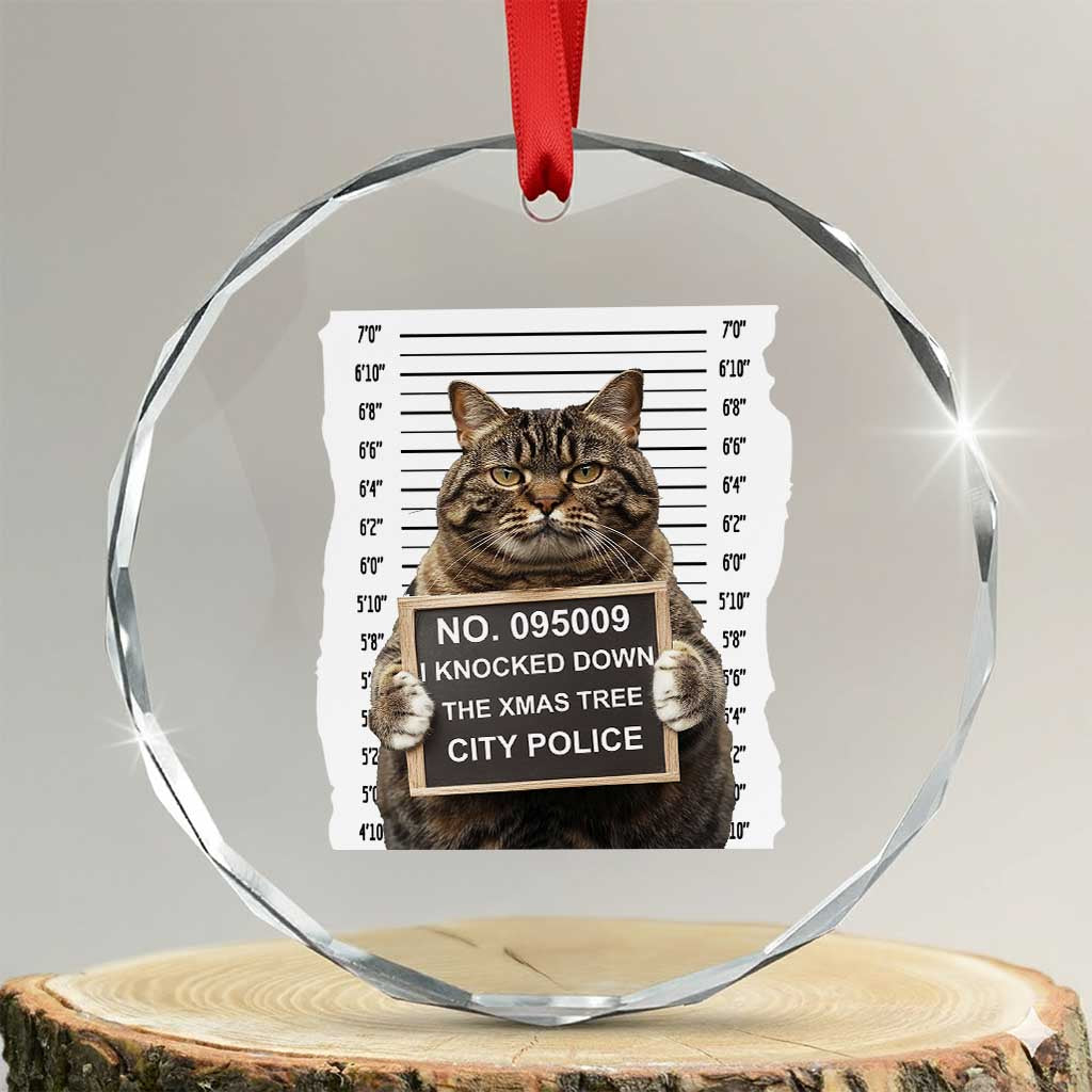 Funny Cat Xmas Crystal Glass Ornament Mugshot I Knocked Down The Xmas Tree TS10