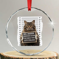 Funny Cat Xmas Crystal Glass Ornament Mugshot I Knocked Down The Xmas Tree TS10
