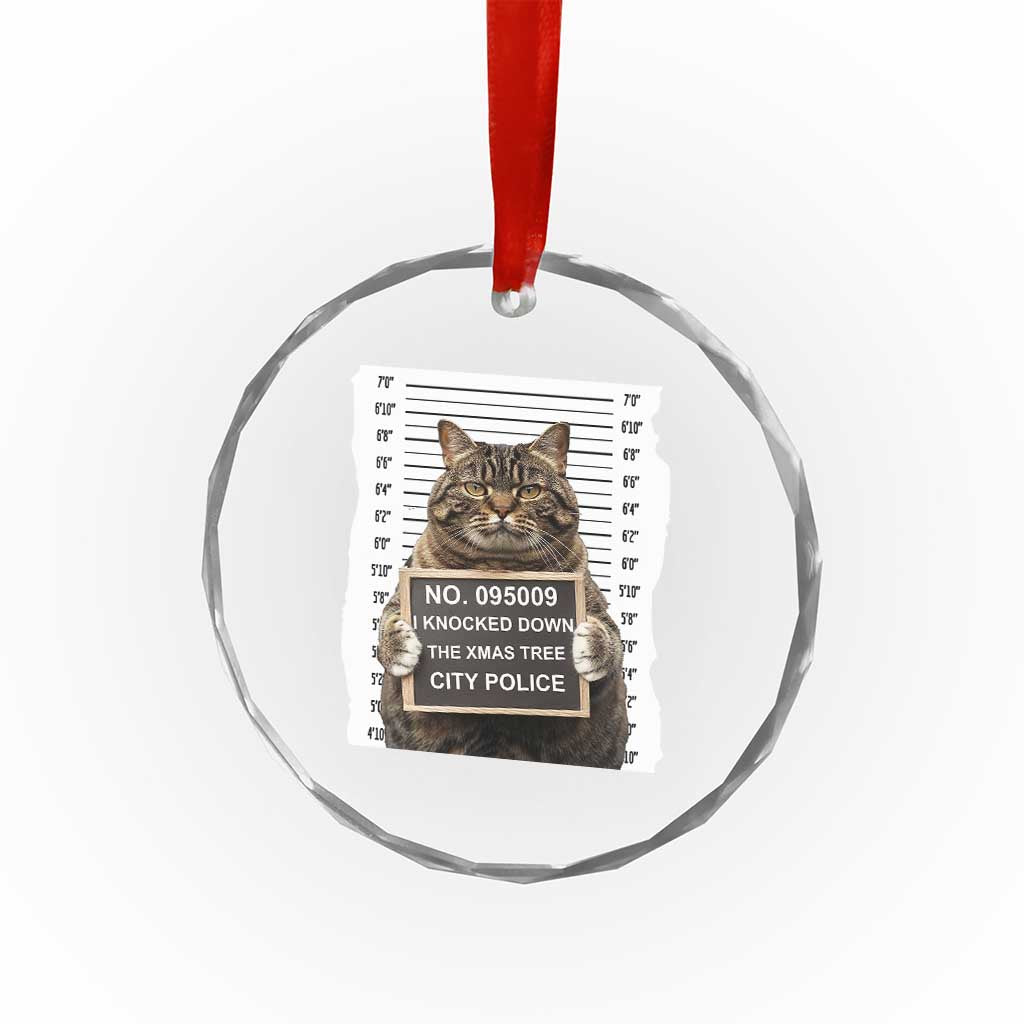 Funny Cat Xmas Crystal Glass Ornament Mugshot I Knocked Down The Xmas Tree TS10