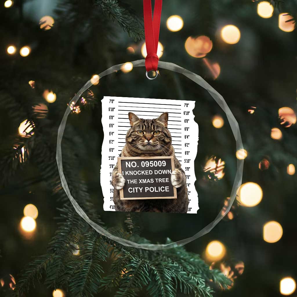 Funny Cat Xmas Crystal Glass Ornament Mugshot I Knocked Down The Xmas Tree TS10