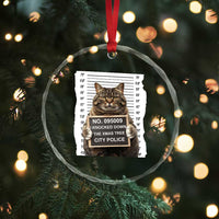 Funny Cat Xmas Crystal Glass Ornament Mugshot I Knocked Down The Xmas Tree TS10