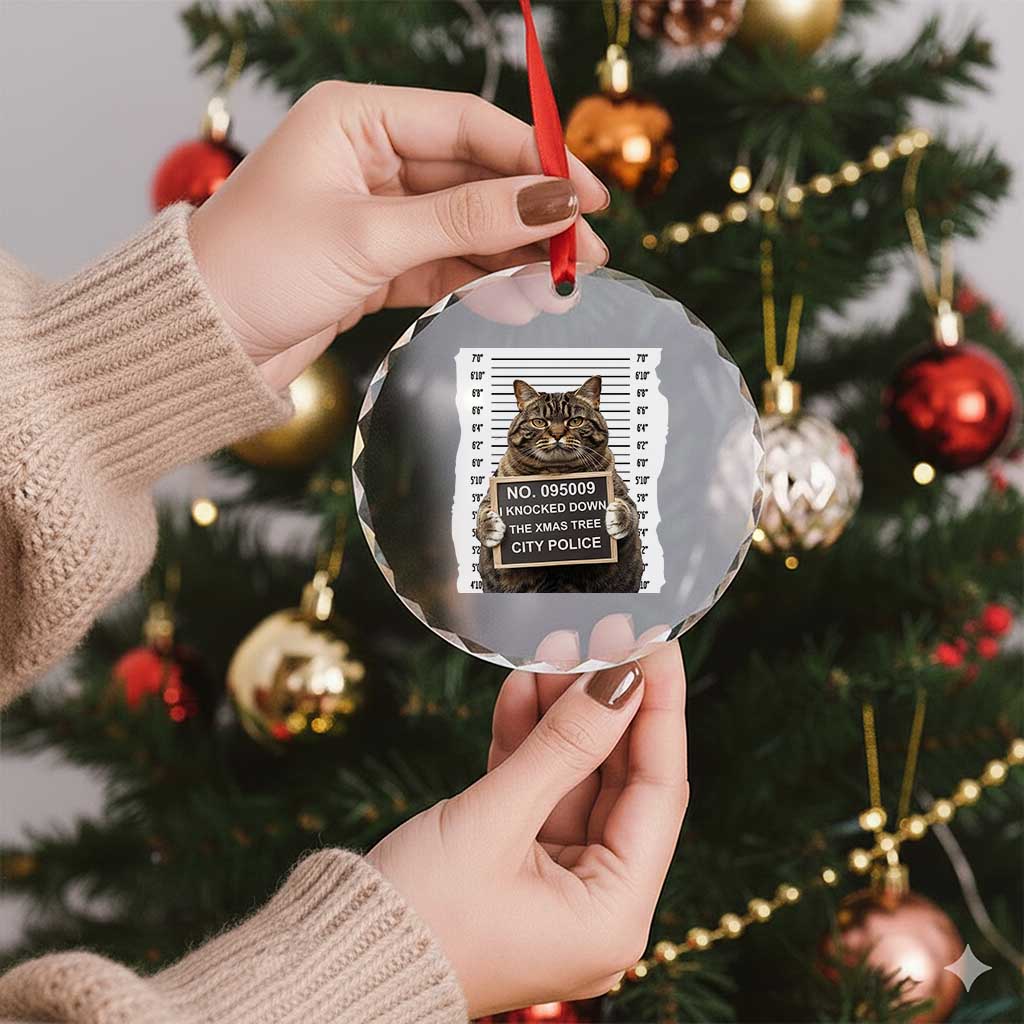 Funny Cat Xmas Crystal Glass Ornament Mugshot I Knocked Down The Xmas Tree TS10