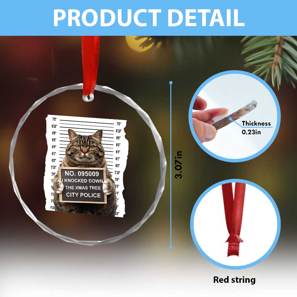 Funny Cat Xmas Crystal Glass Ornament Mugshot I Knocked Down The Xmas Tree TS10