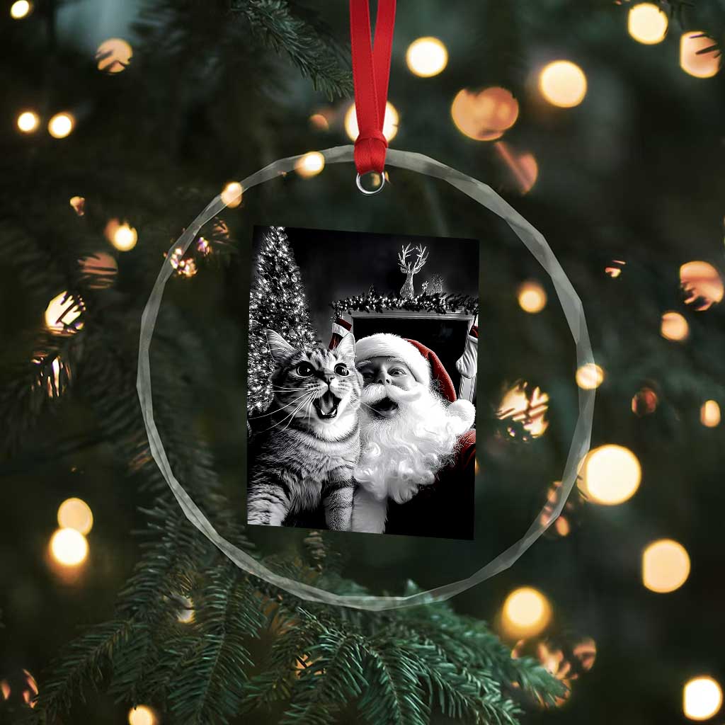 Funny Christmas Cat Selfie With Santa Crystal Glass Ornament TS09