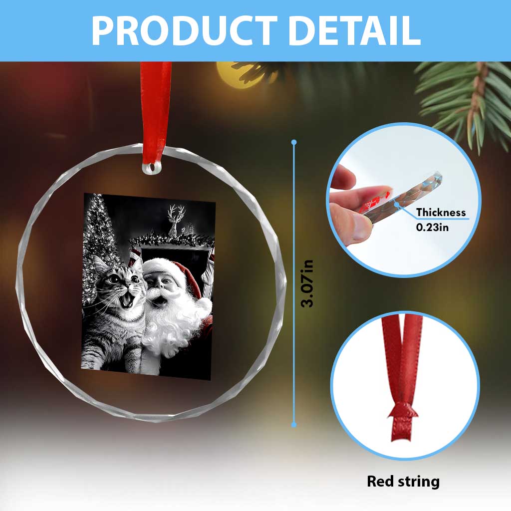 Funny Christmas Cat Selfie With Santa Crystal Glass Ornament TS09
