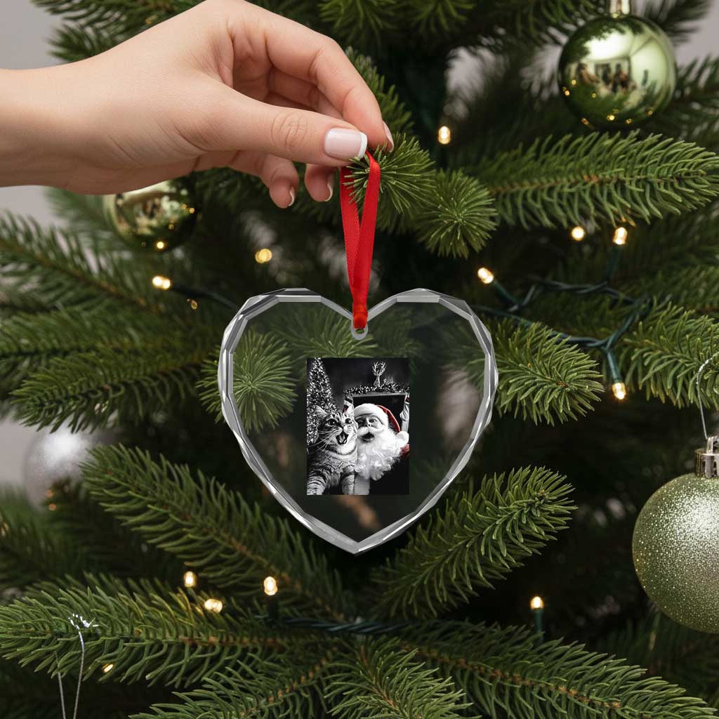 Funny Christmas Cat Selfie With Santa Heart Crystal Glass Ornament - Wonder Print Shop