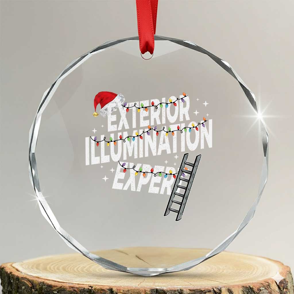Funny Christmas Exterior Illumination Expert Crystal Glass Ornament Xmas Lights Decorator - Wonder Print Shop