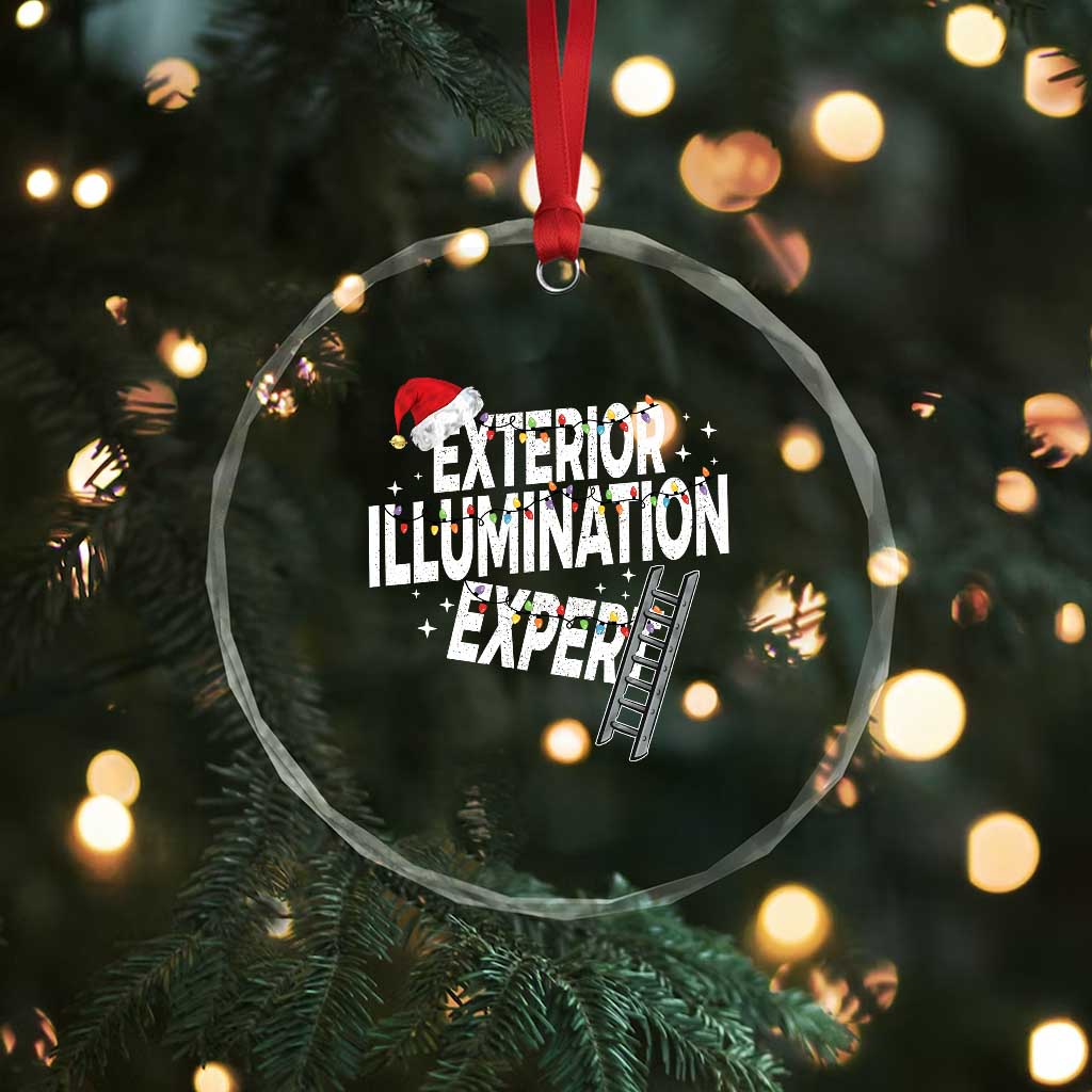 Funny Christmas Exterior Illumination Expert Crystal Glass Ornament Xmas Lights Decorator - Wonder Print Shop