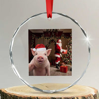 Funny Christmas Pig Selfie With Santa Gift Crystal Glass Ornament - Wonder Print Shop