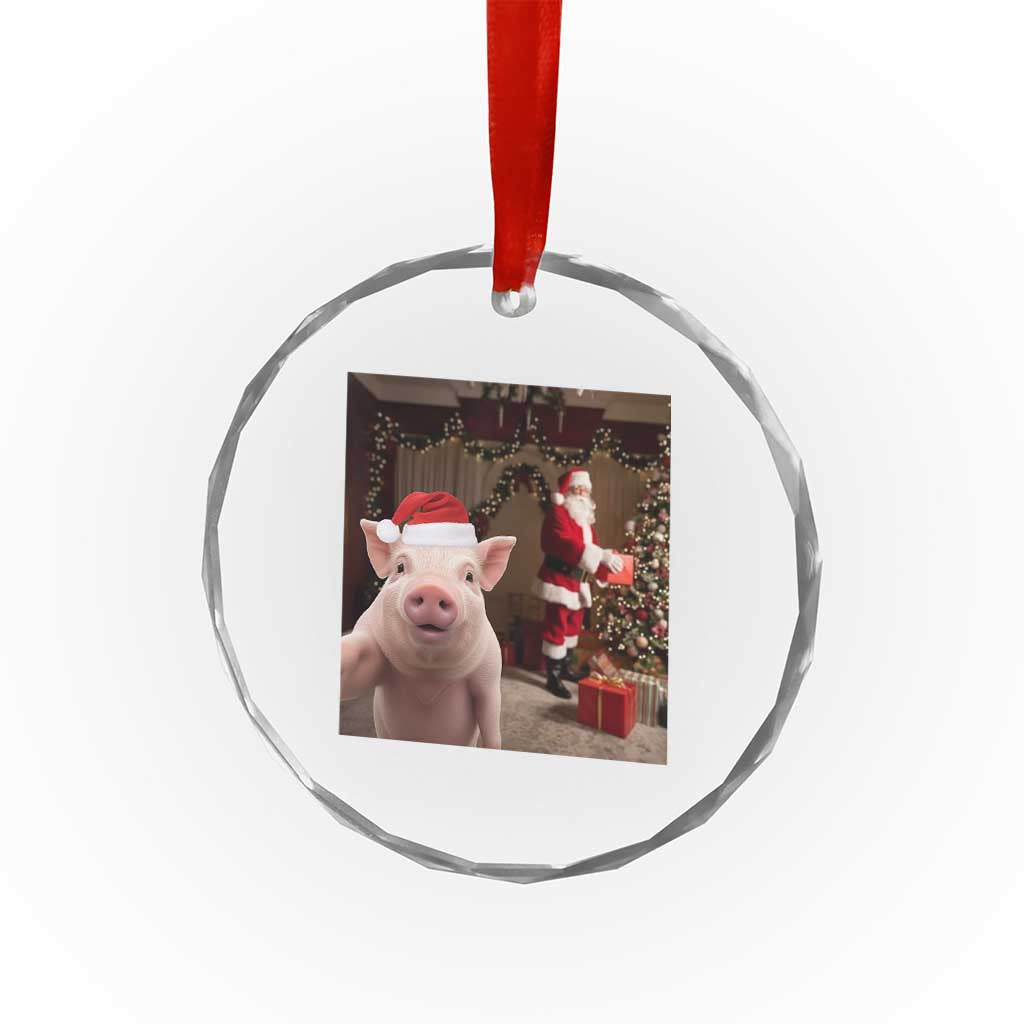Funny Christmas Pig Selfie With Santa Gift Crystal Glass Ornament - Wonder Print Shop