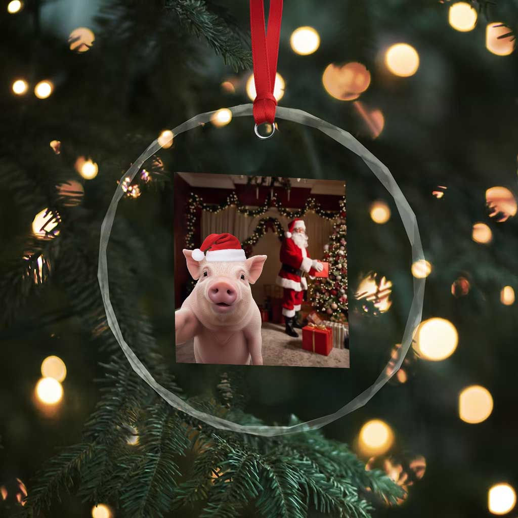 Funny Christmas Pig Selfie With Santa Gift Crystal Glass Ornament - Wonder Print Shop