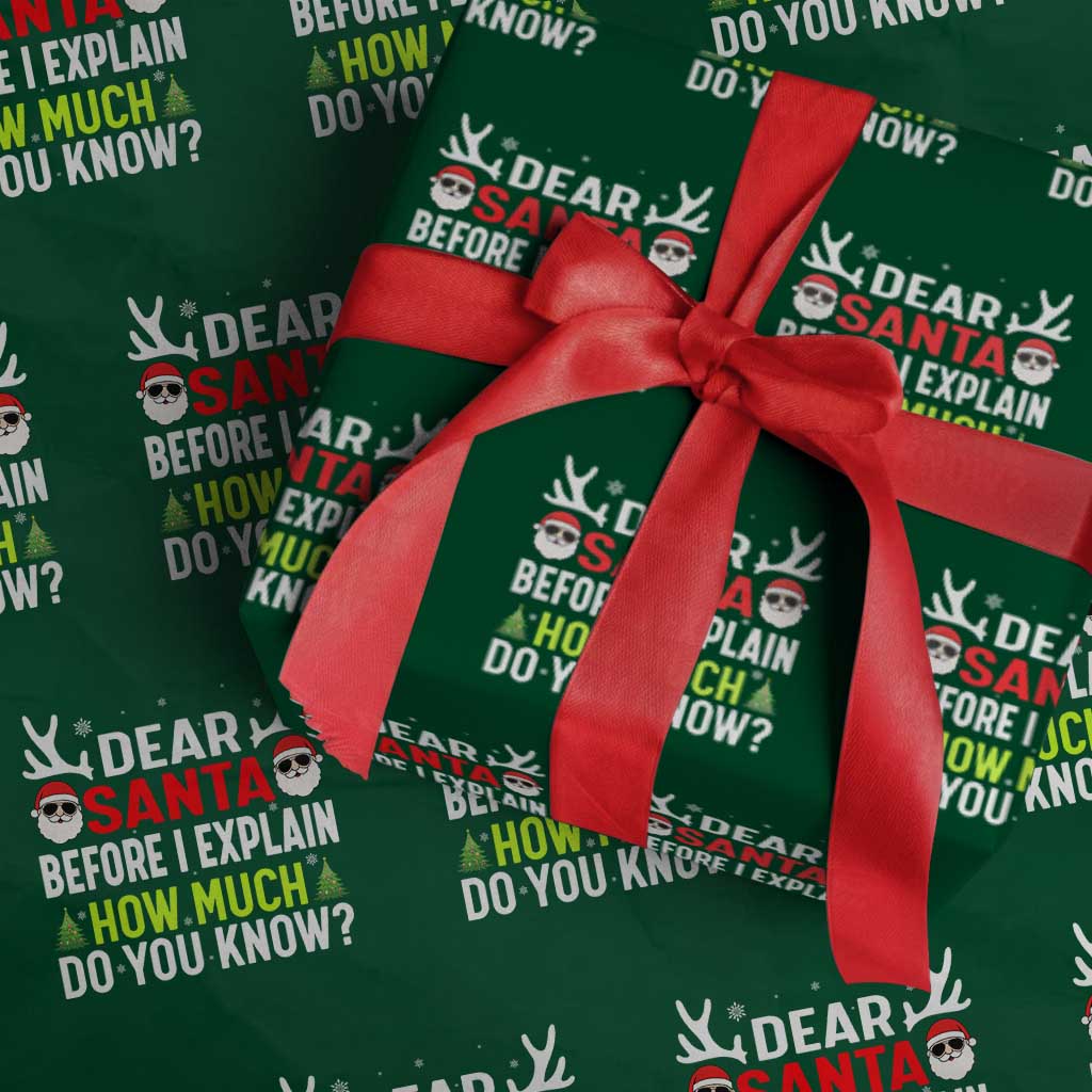 Funny Christmas Wrapping Paper Roll Dear Santa I Can Explain How Much Do You Know - Wonder Print Shop