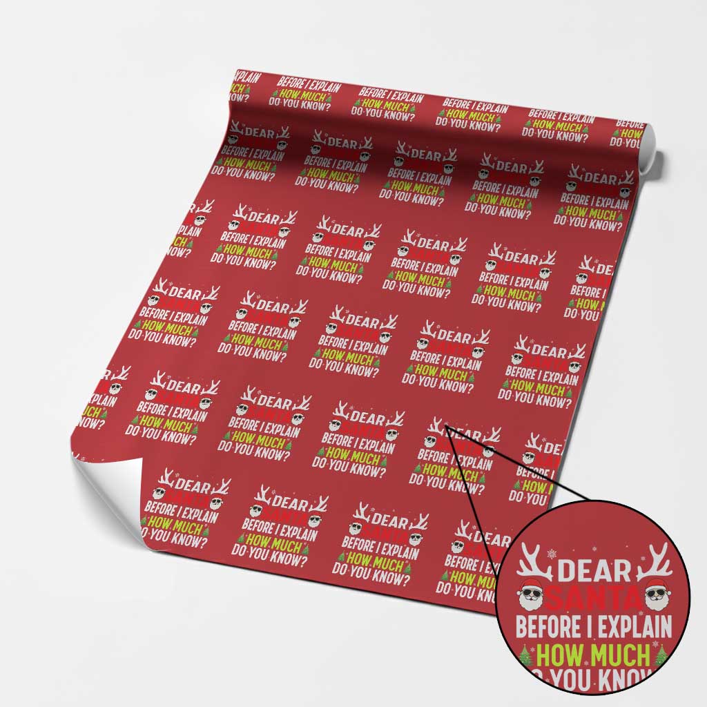 Funny Christmas Wrapping Paper Roll Dear Santa I Can Explain How Much Do You Know - Wonder Print Shop
