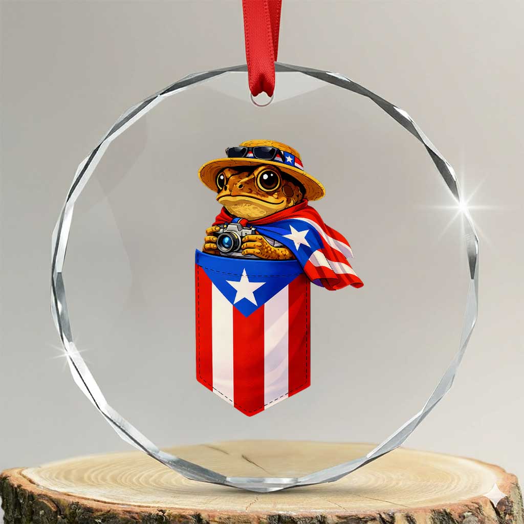 Funny Coqui Frog Puerto Rico Flag Crystal Glass Ornament Puerto Rican Taino Buricua Borinquen