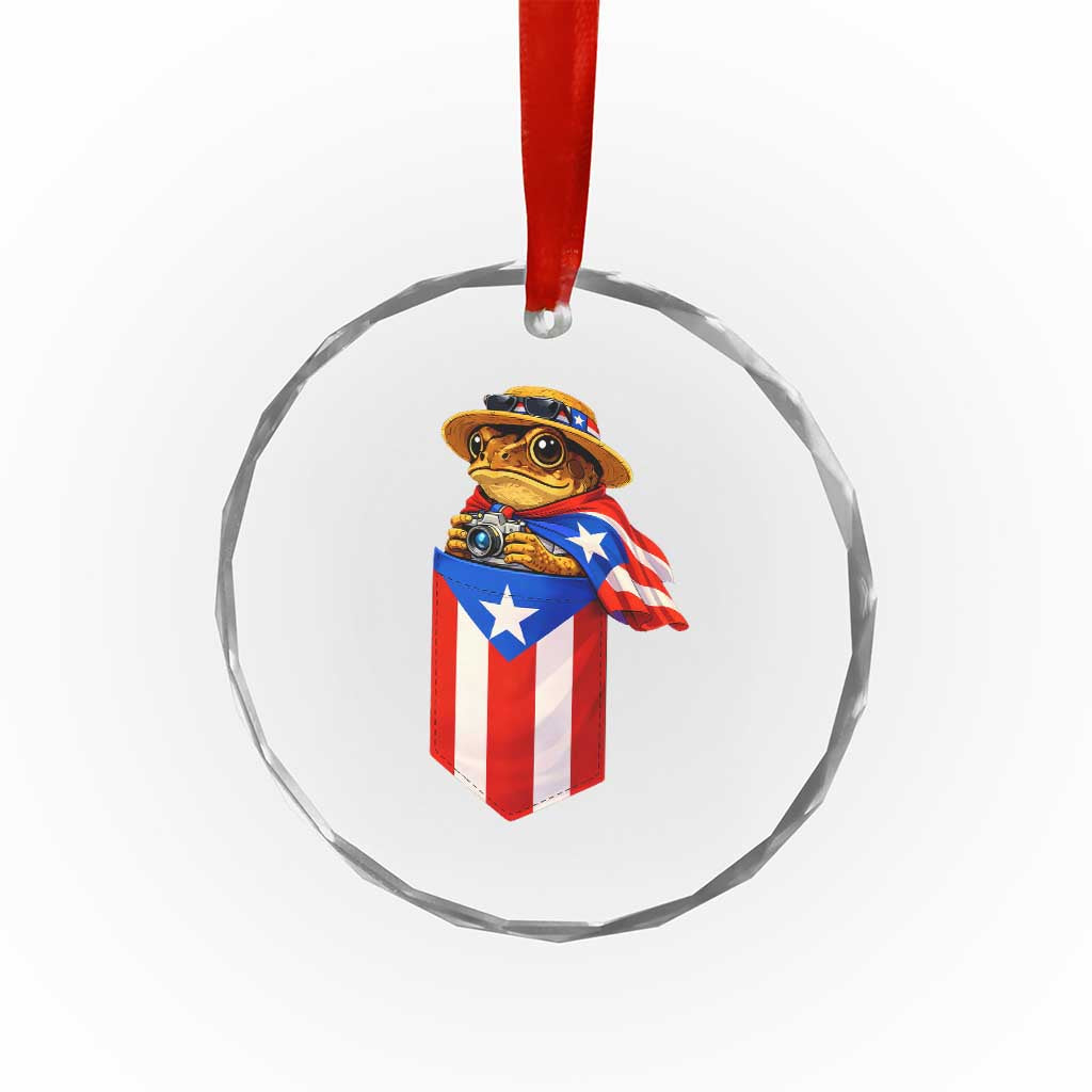 Funny Coqui Frog Puerto Rico Flag Crystal Glass Ornament Puerto Rican Taino Buricua Borinquen
