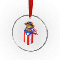 Funny Coqui Frog Puerto Rico Flag Crystal Glass Ornament Puerto Rican Taino Buricua Borinquen