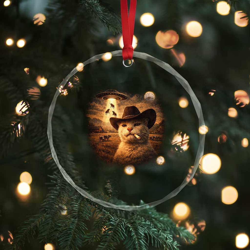Funny Cowboy Cat UFO Crystal Glass Ornament Retro Western Rodeo Meme Cats Lover Gift