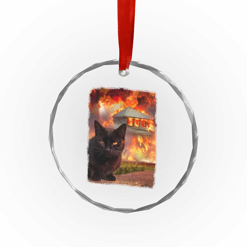 Funny Crazy Cat Selfie Crystal Glass Ornament Bad Kitty Chaos Humor Graphic