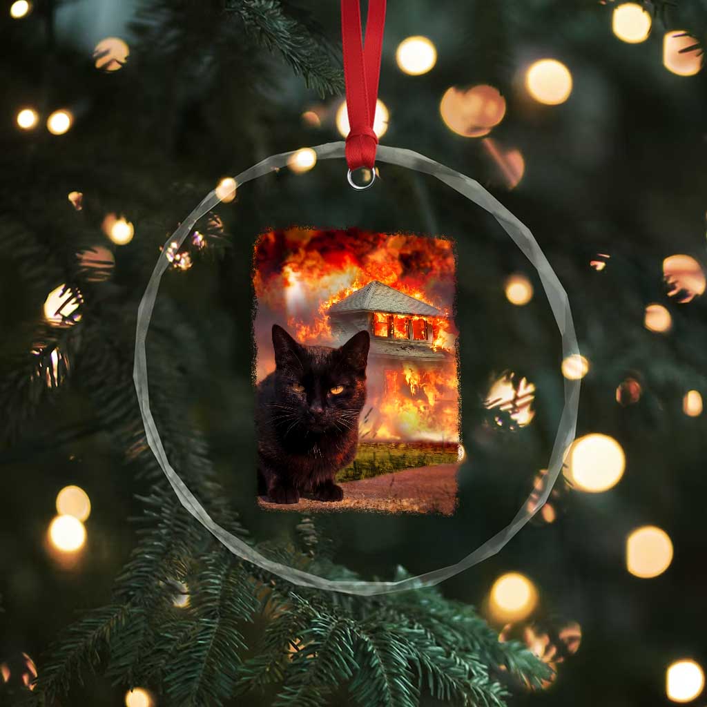 Funny Crazy Cat Selfie Crystal Glass Ornament Bad Kitty Chaos Humor Graphic