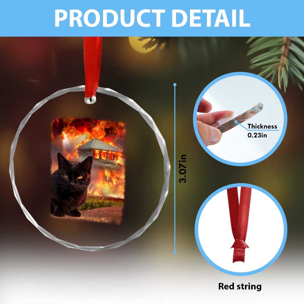 Funny Crazy Cat Selfie Crystal Glass Ornament Bad Kitty Chaos Humor Graphic