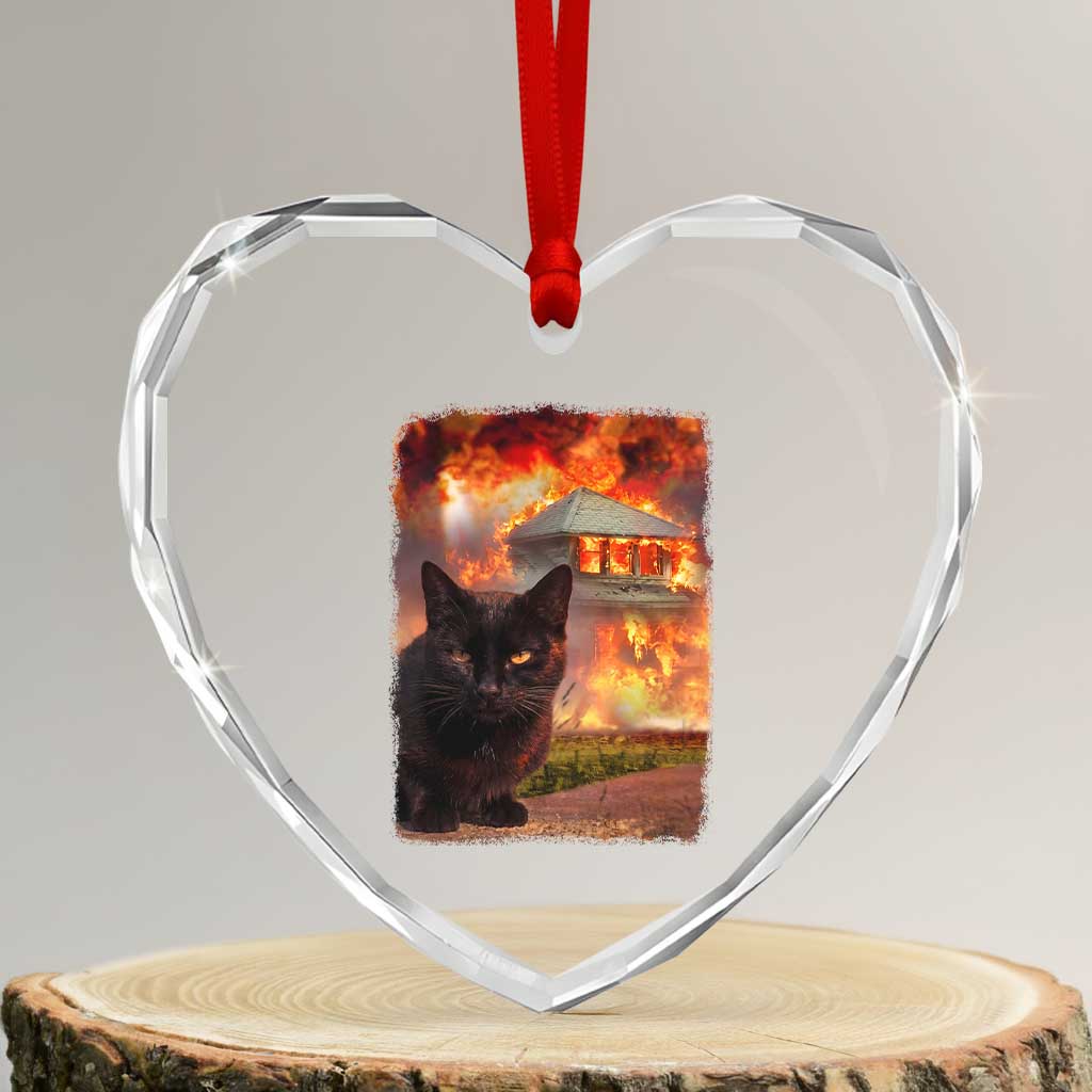 Funny Crazy Cat Selfie Heart Crystal Glass Ornament Bad Kitty Chaos Humor Graphic