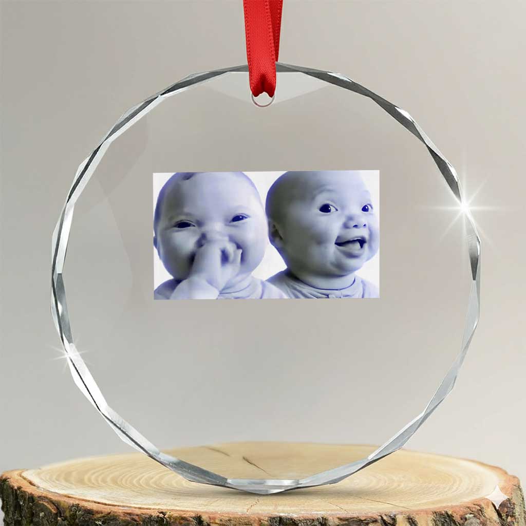 Funny Double Trouble Tuff Baby Meme Crystal Glass Ornament Viral AI Niche Baby Holding Laugh Duo Reaction - Wonder Print Shop