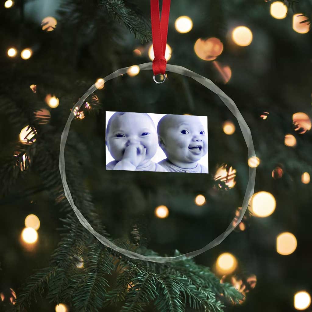 Funny Double Trouble Tuff Baby Meme Crystal Glass Ornament Viral AI Niche Baby Holding Laugh Duo Reaction - Wonder Print Shop