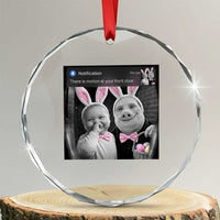 Funny Easter AI Baby with John Pork Meme Crystal Glass Ornament There Is Motion at Your Front Door Notification Humor
