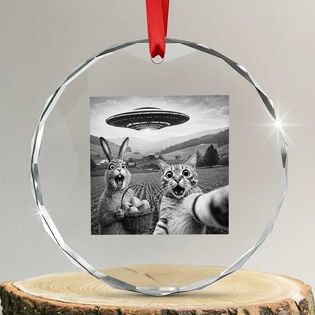 Funny Easter Crystal Glass Ornament Christian Cat Selfie Bunny Meme
