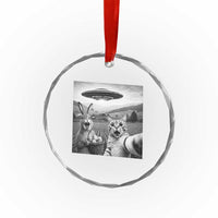 Funny Easter Crystal Glass Ornament Christian Cat Selfie Bunny Meme