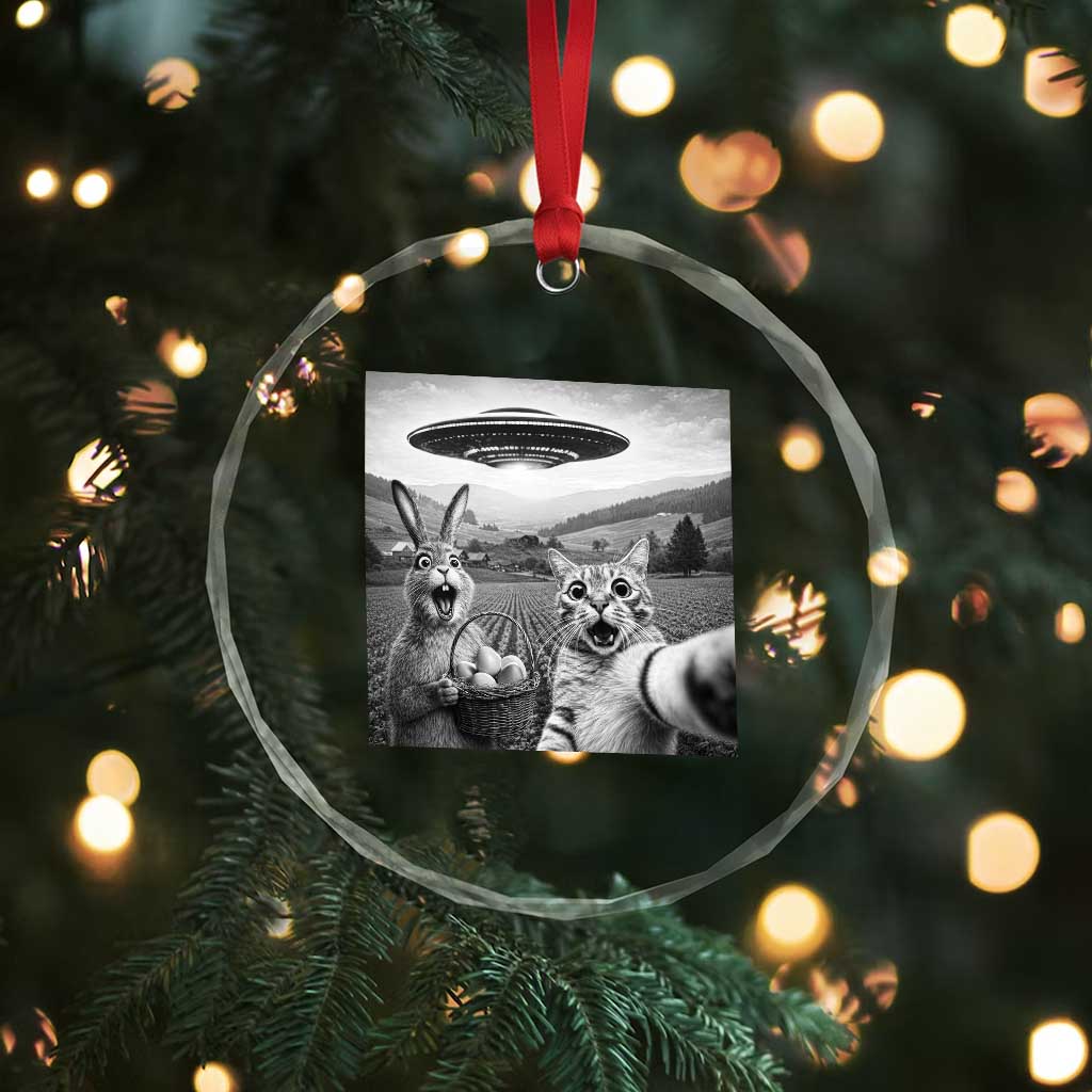 Funny Easter Crystal Glass Ornament Christian Cat Selfie Bunny Meme